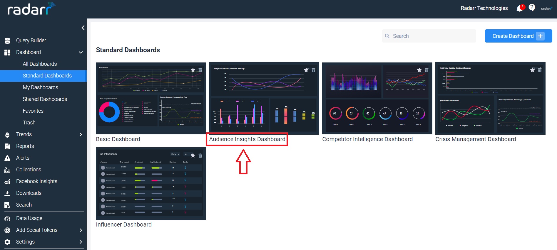 Audience Insight Dashboard